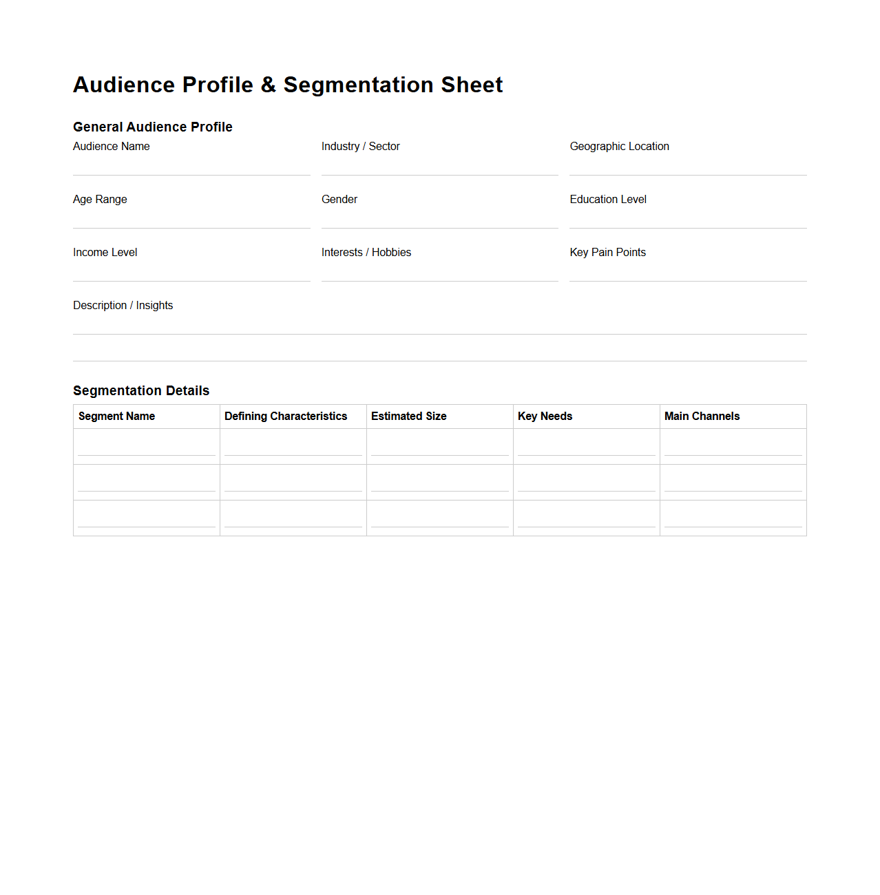Audience Profile and Segmentation Sheet