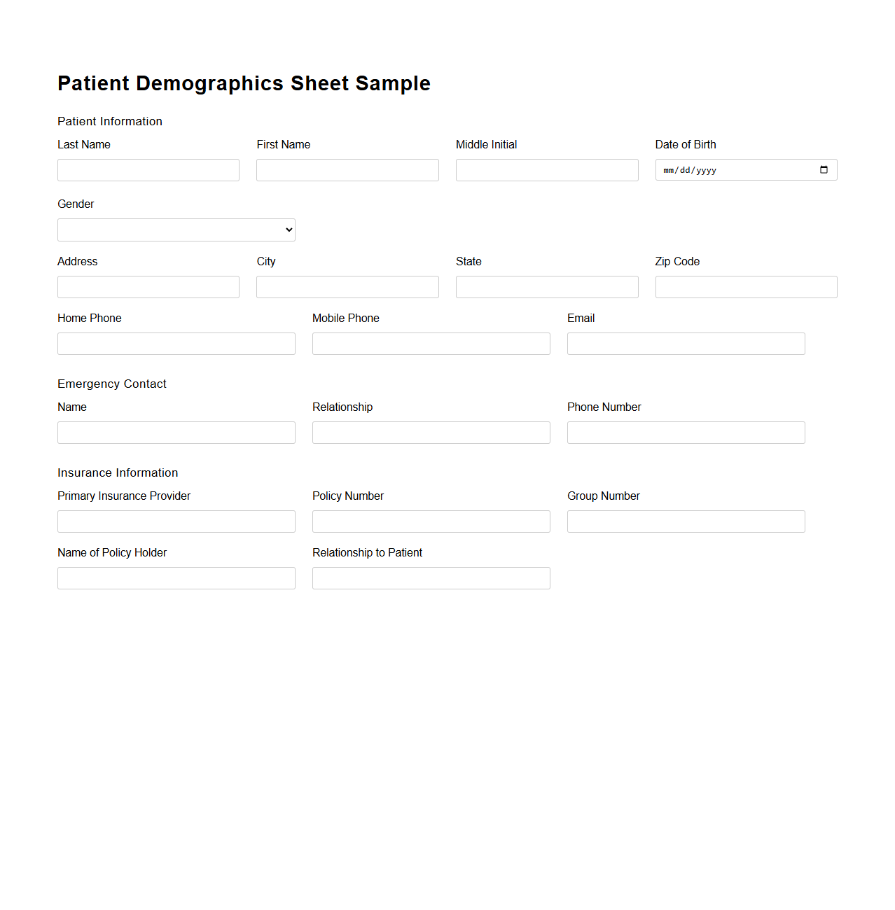 Patient Demographics Sheet Sample