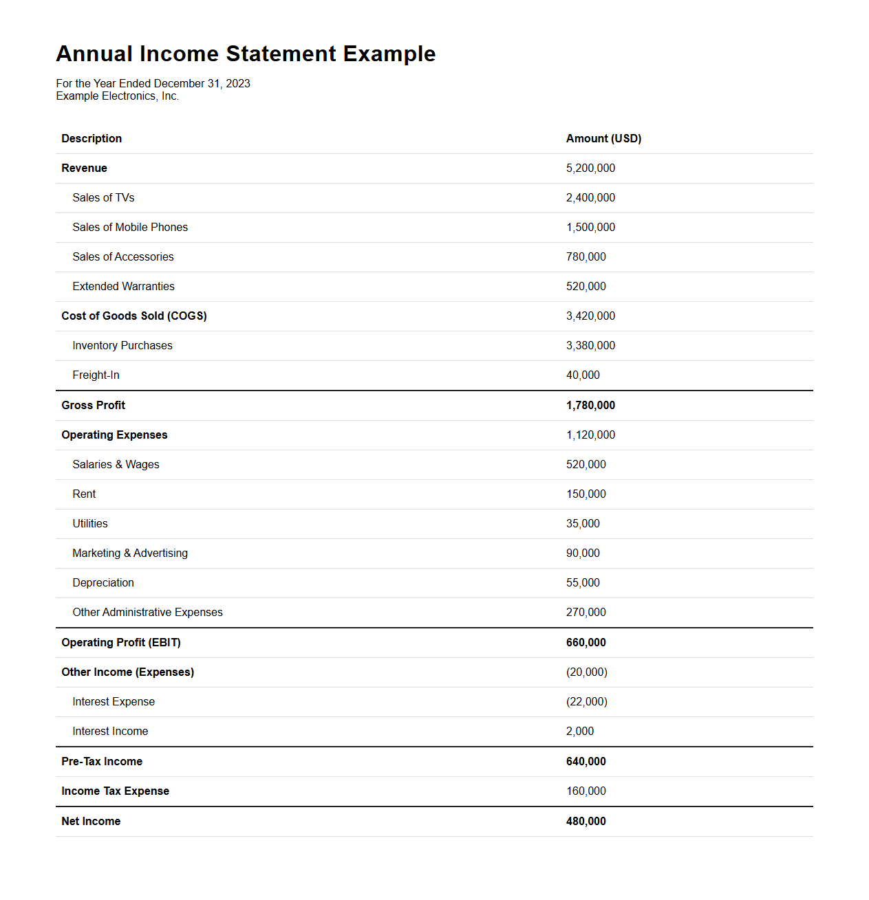 Annual Income Statement Example for Electronics Retailers