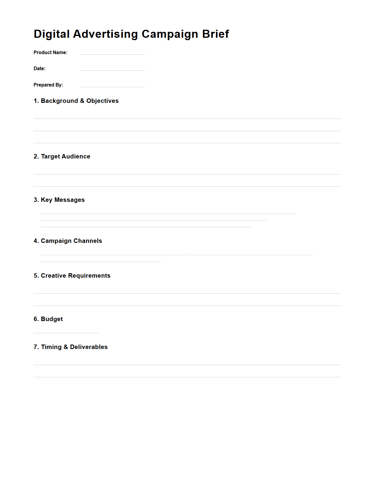 Digital Advertising Campaign Brief for New Product Launch