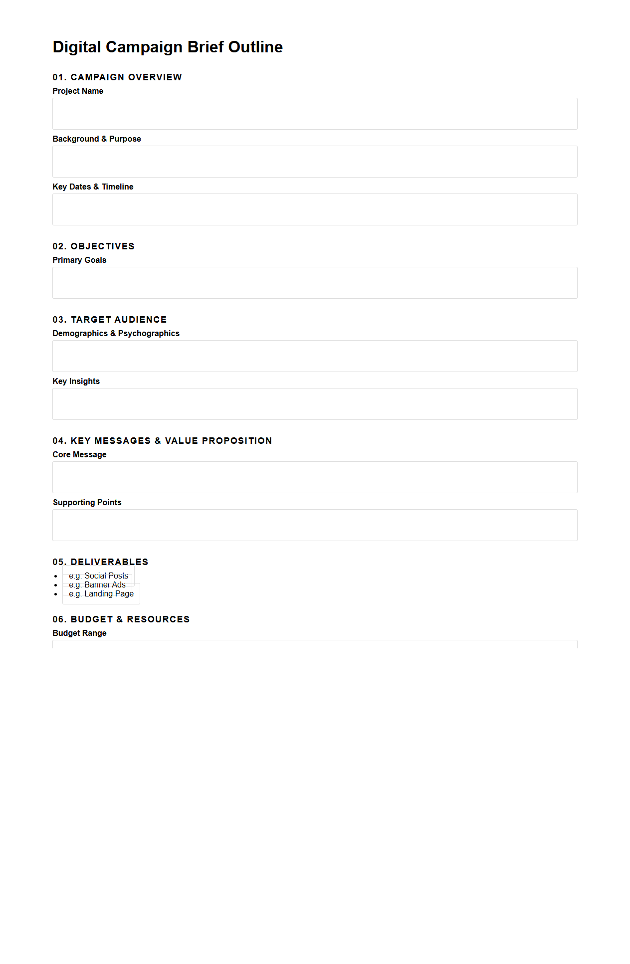 Digital Campaign Brief Outline for Agency Collaboration