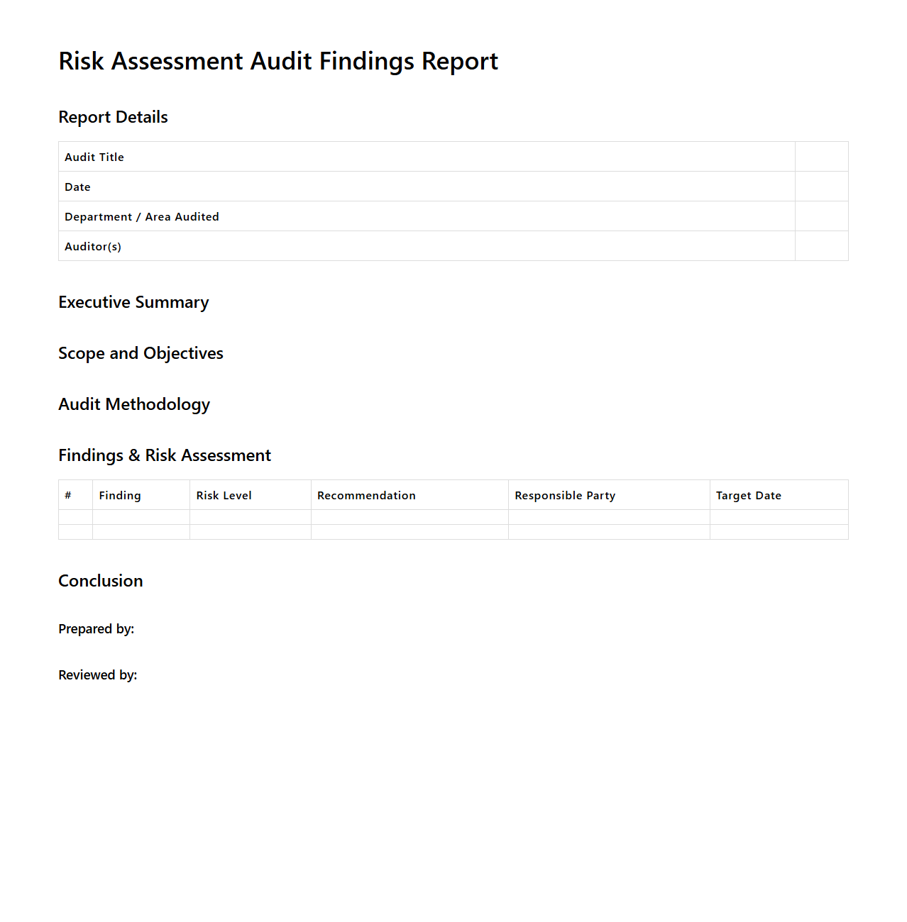Risk Assessment Audit Findings Report