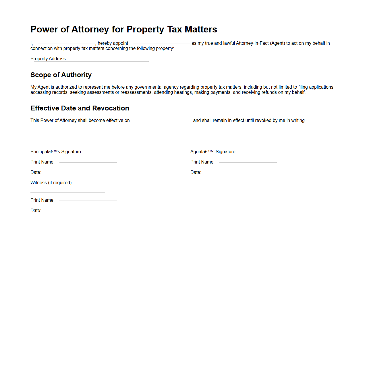 Power of Attorney for Property Tax Matters