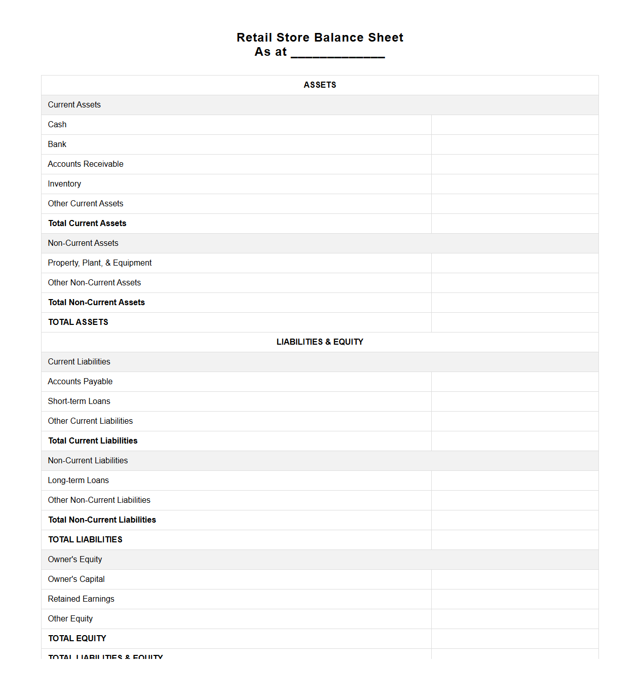 Retail Store Balance Sheet Format