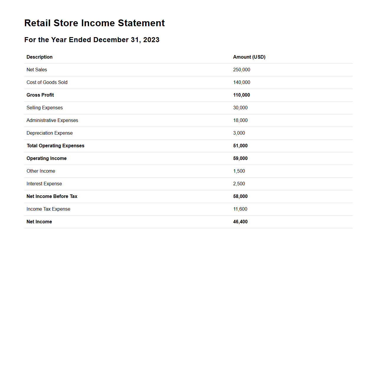 Retail Store Income Statement Sample for Performance Evaluation