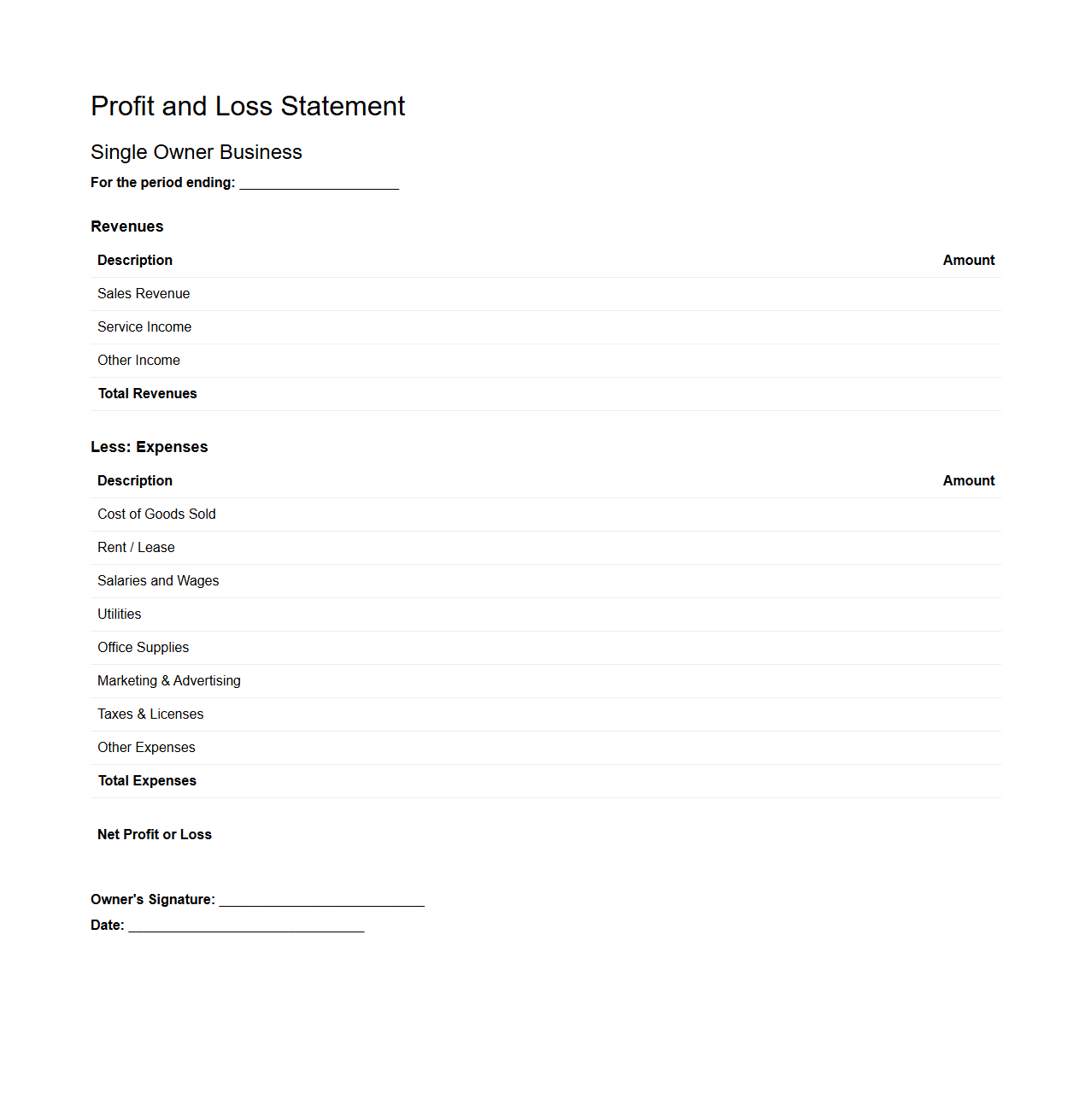 Single Owner Business Profit and Loss Statement Layout