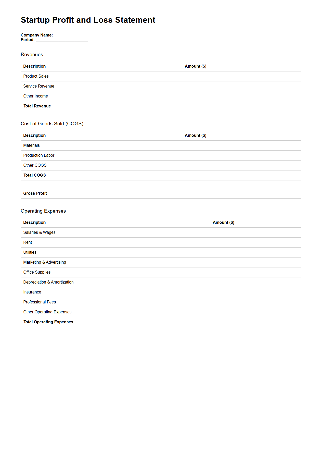 Startup Profit and Loss Statement Document Example