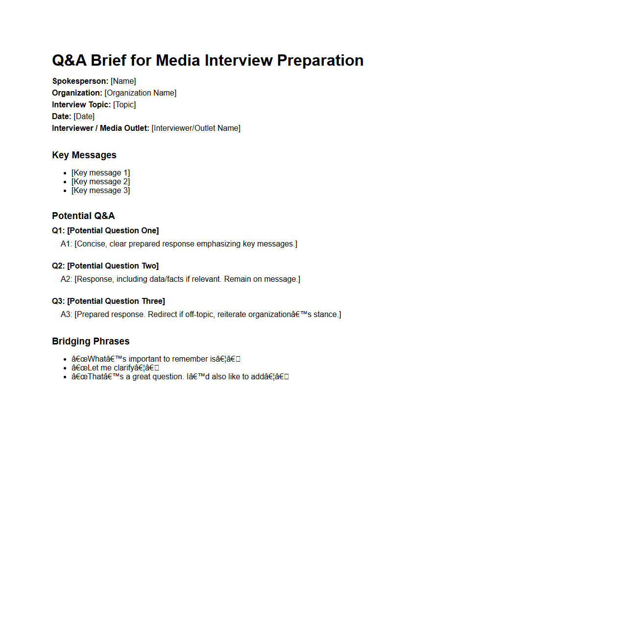 Q&A Brief Sample for Media Interview Preparation