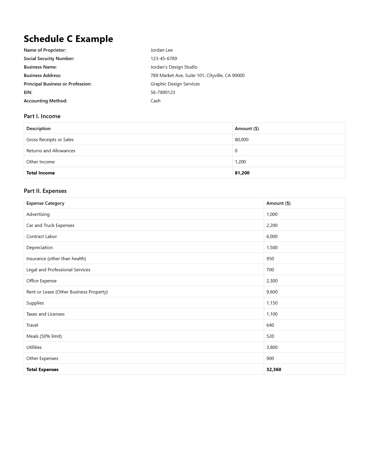Schedule C Example for Sole Proprietor Tax Filing