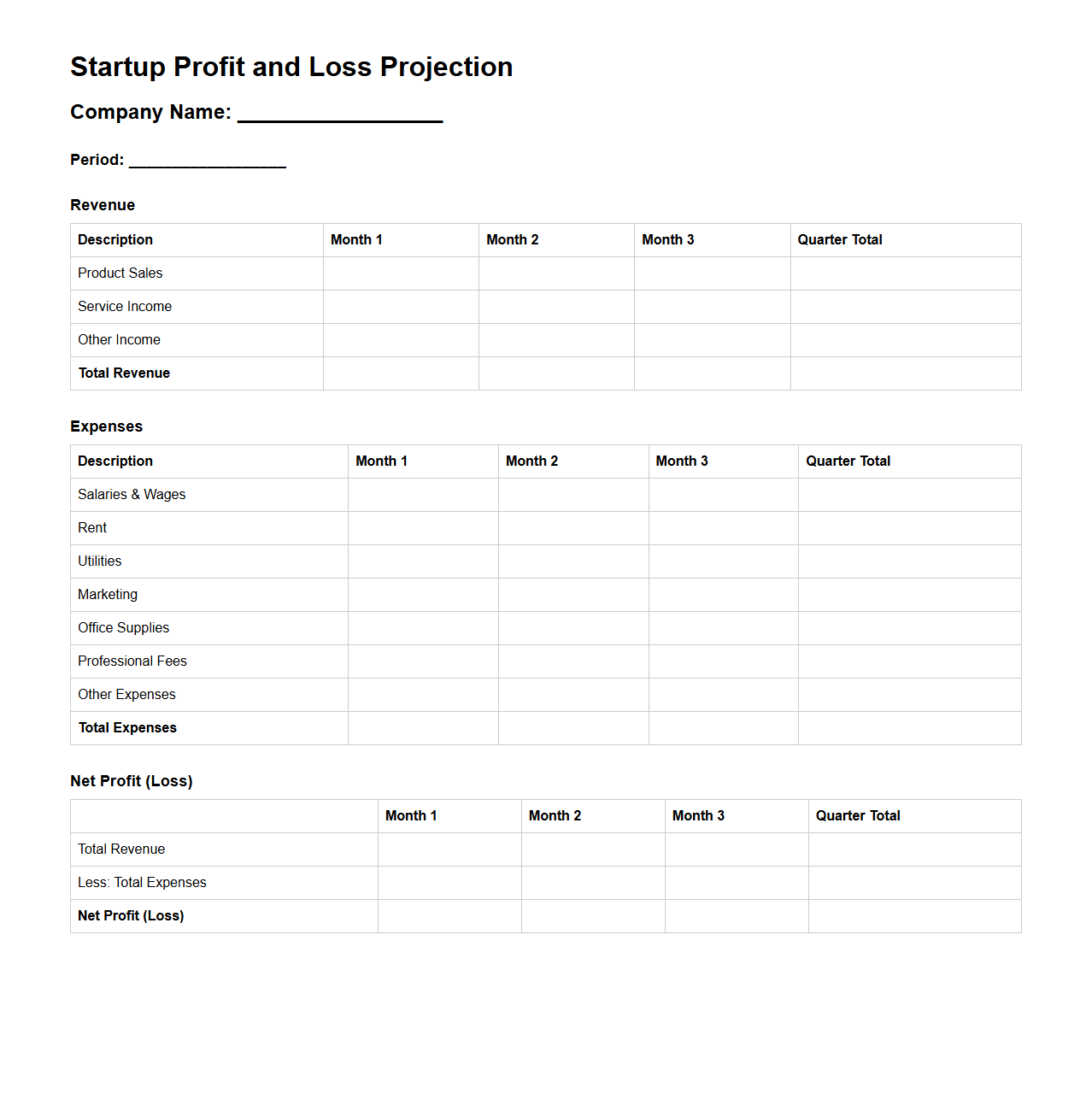Startup Profit and Loss Projection Format