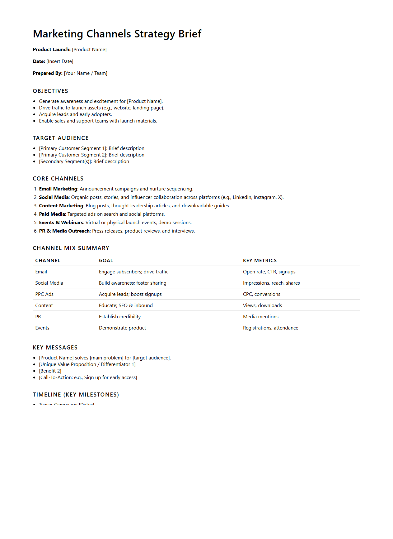 Marketing Channels Strategy Brief for Product Launch