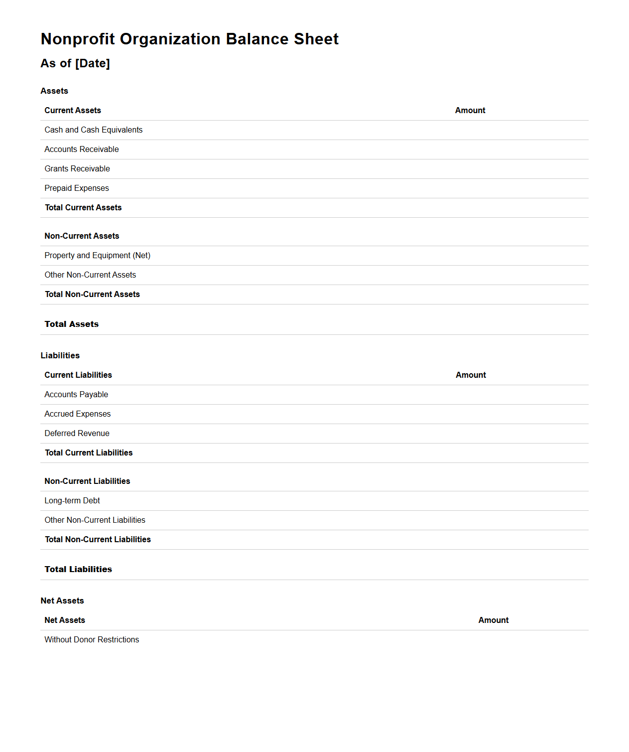 Nonprofit Organization Balance Sheet Layout for Reporting
