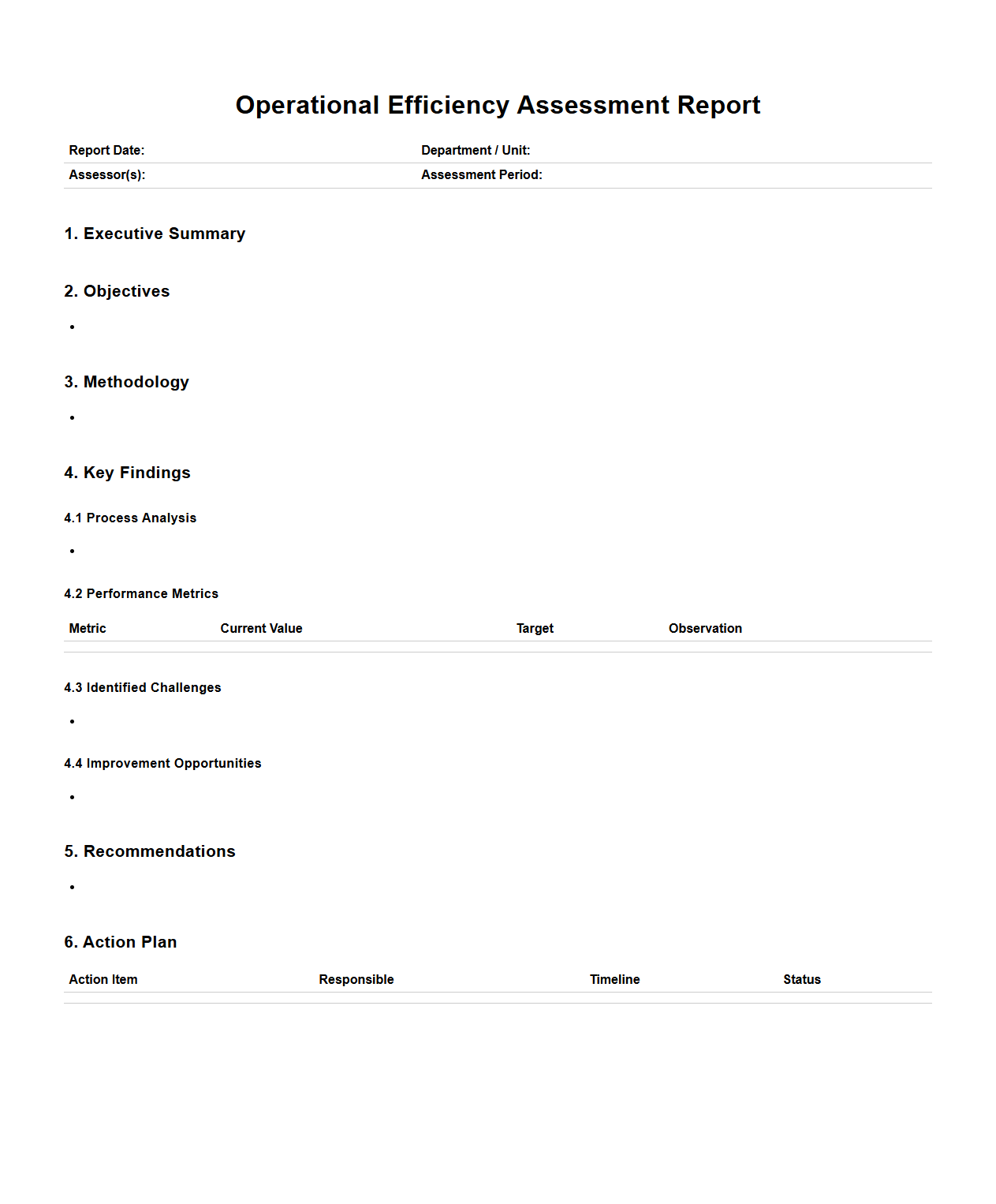 Operational Efficiency Assessment Report Format
