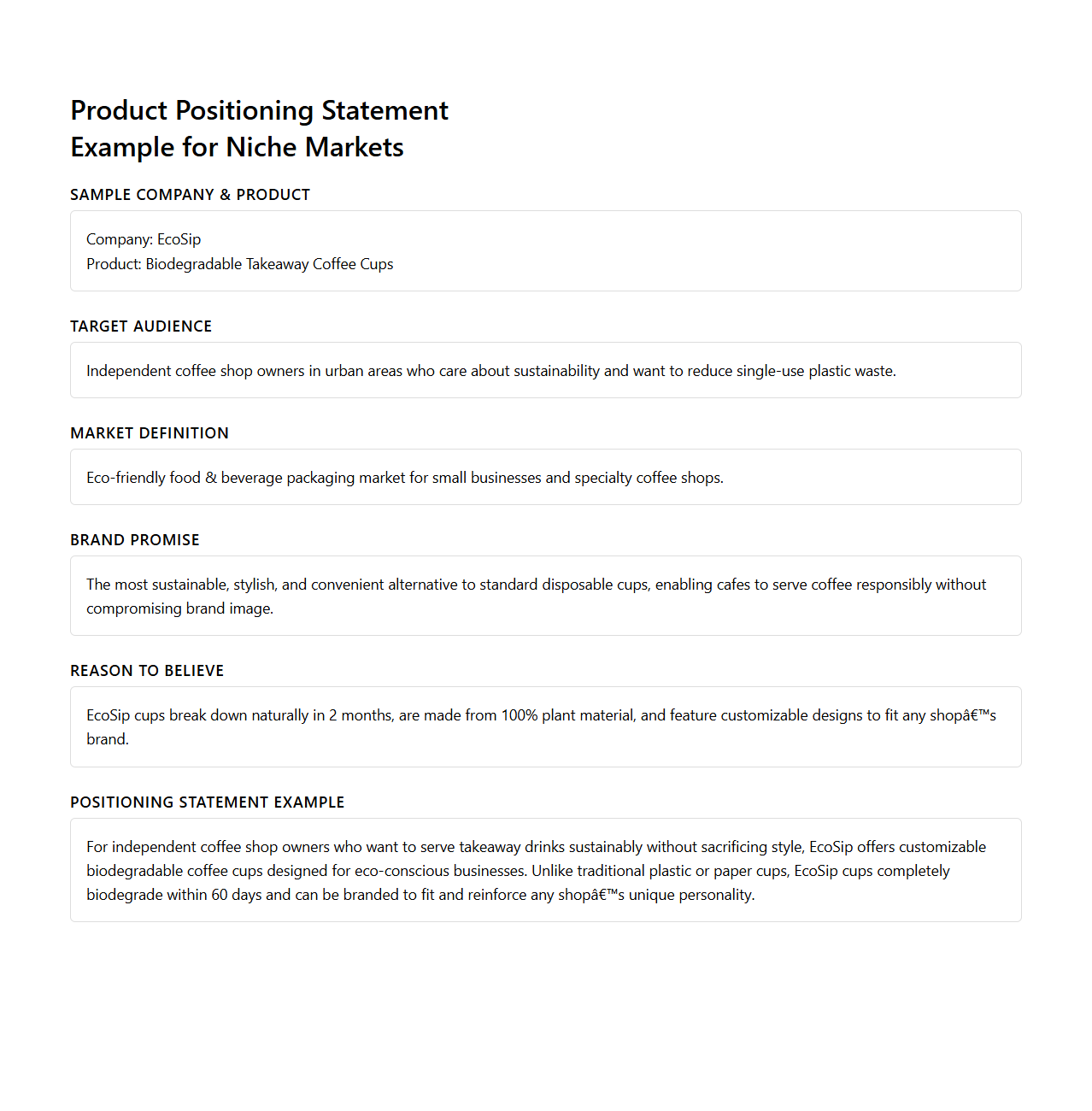 Product Positioning Statement Example for Niche Markets