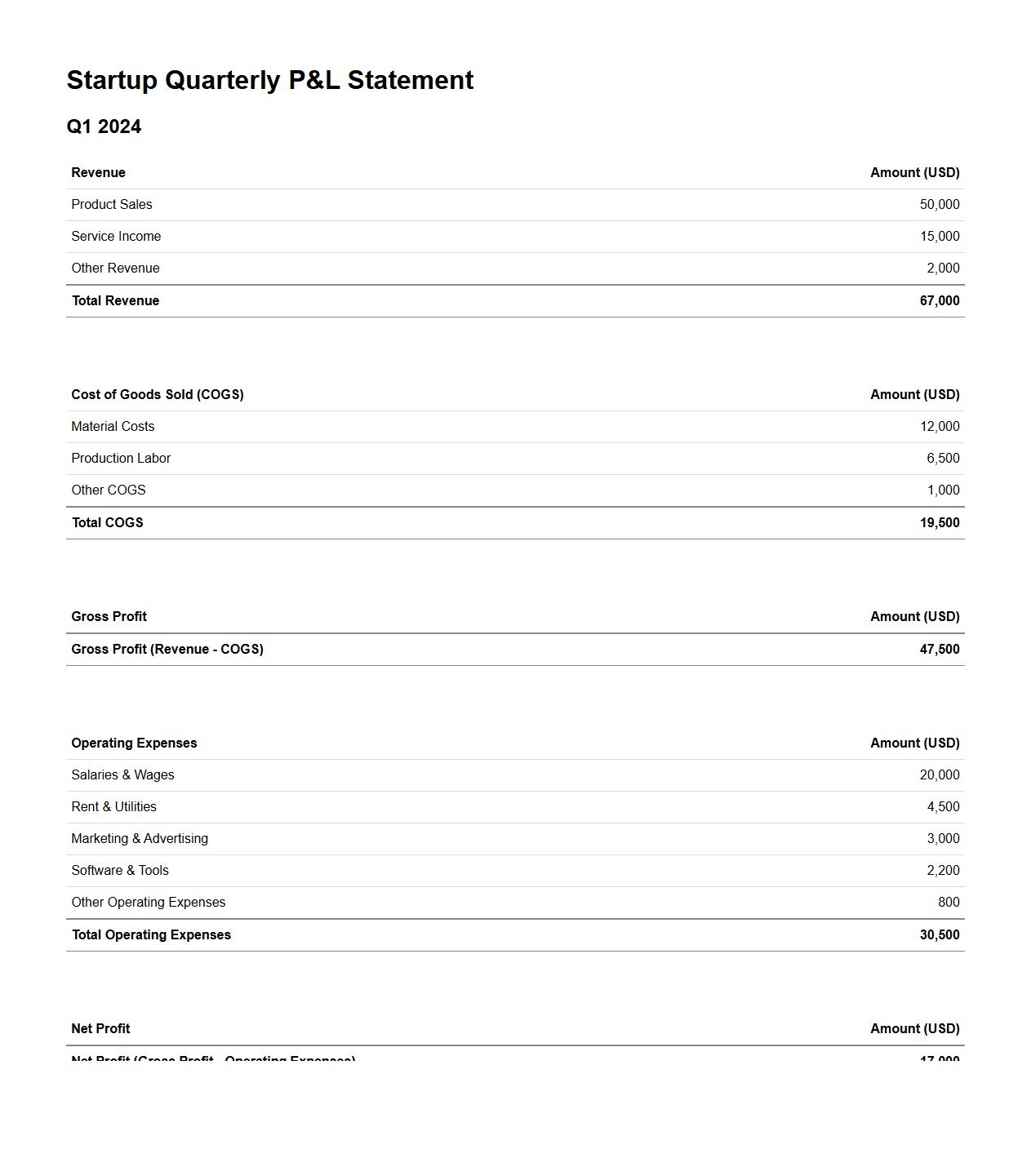 Startup Quarterly P&L Statement Sample
