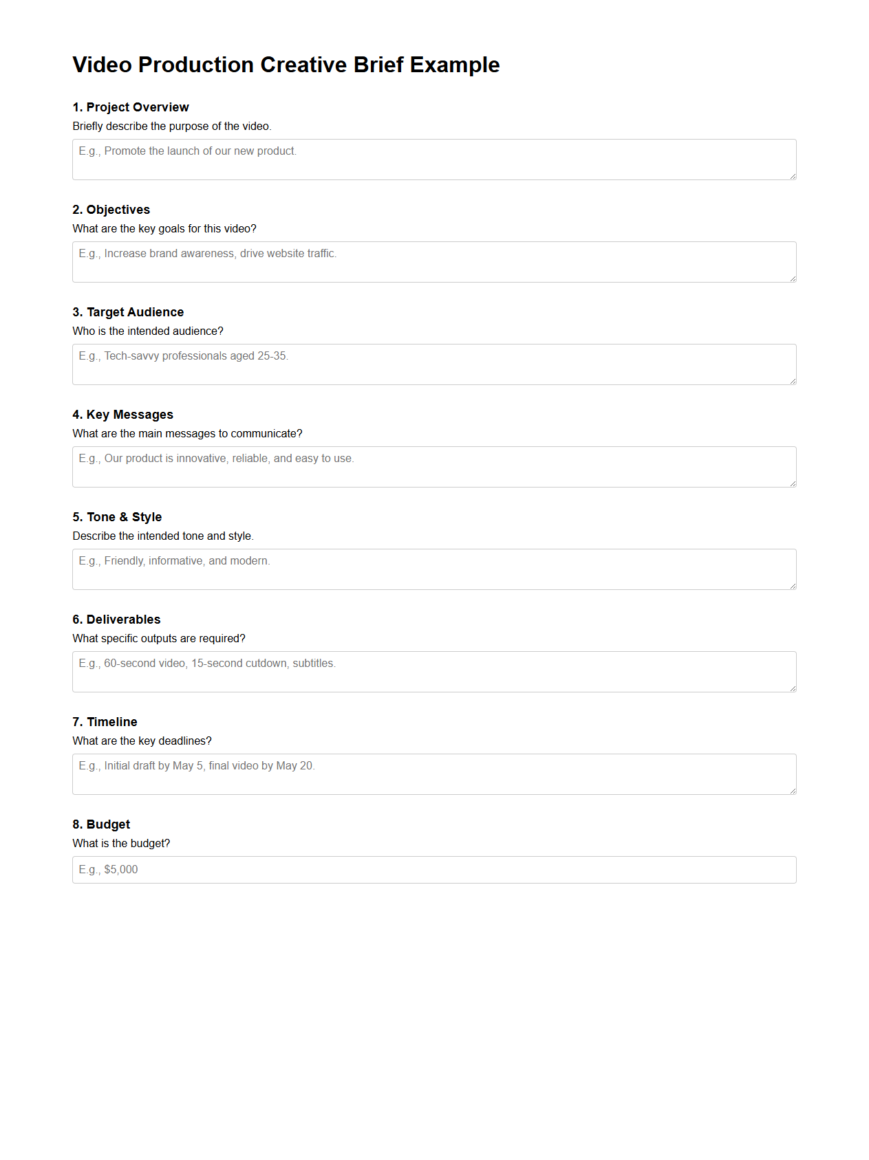 Video Production Creative Brief Example