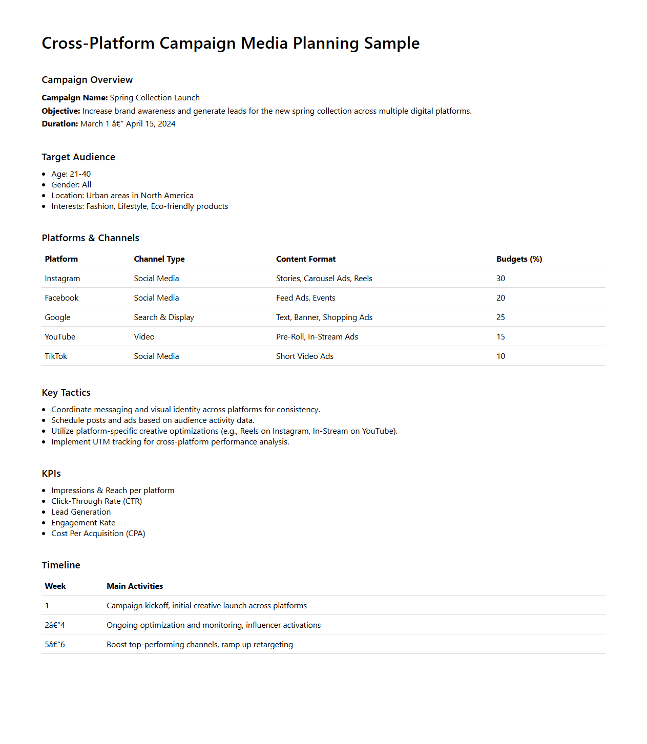 Cross-Platform Campaign Media Planning Sample