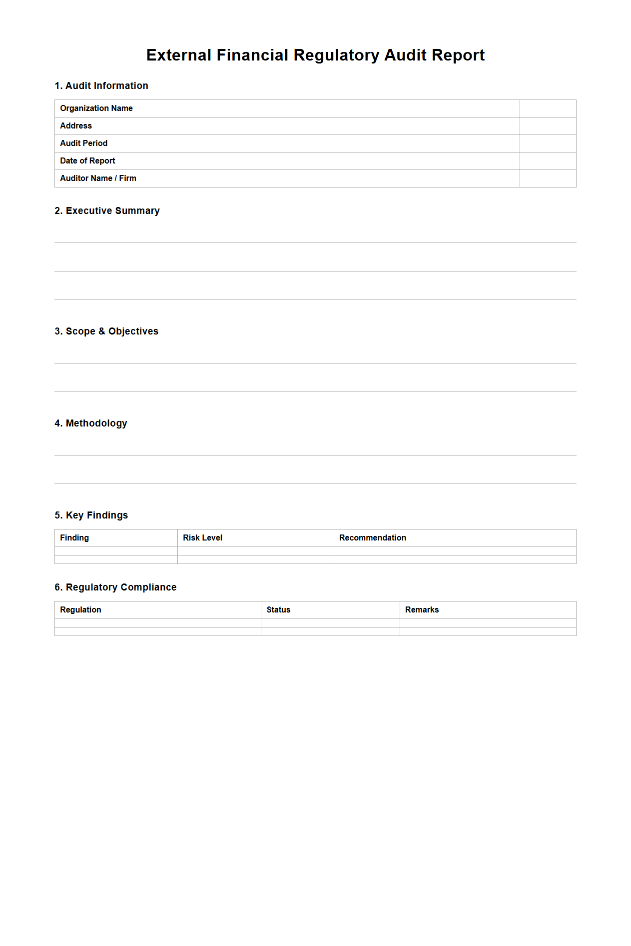 External Financial Regulatory Audit Report Format