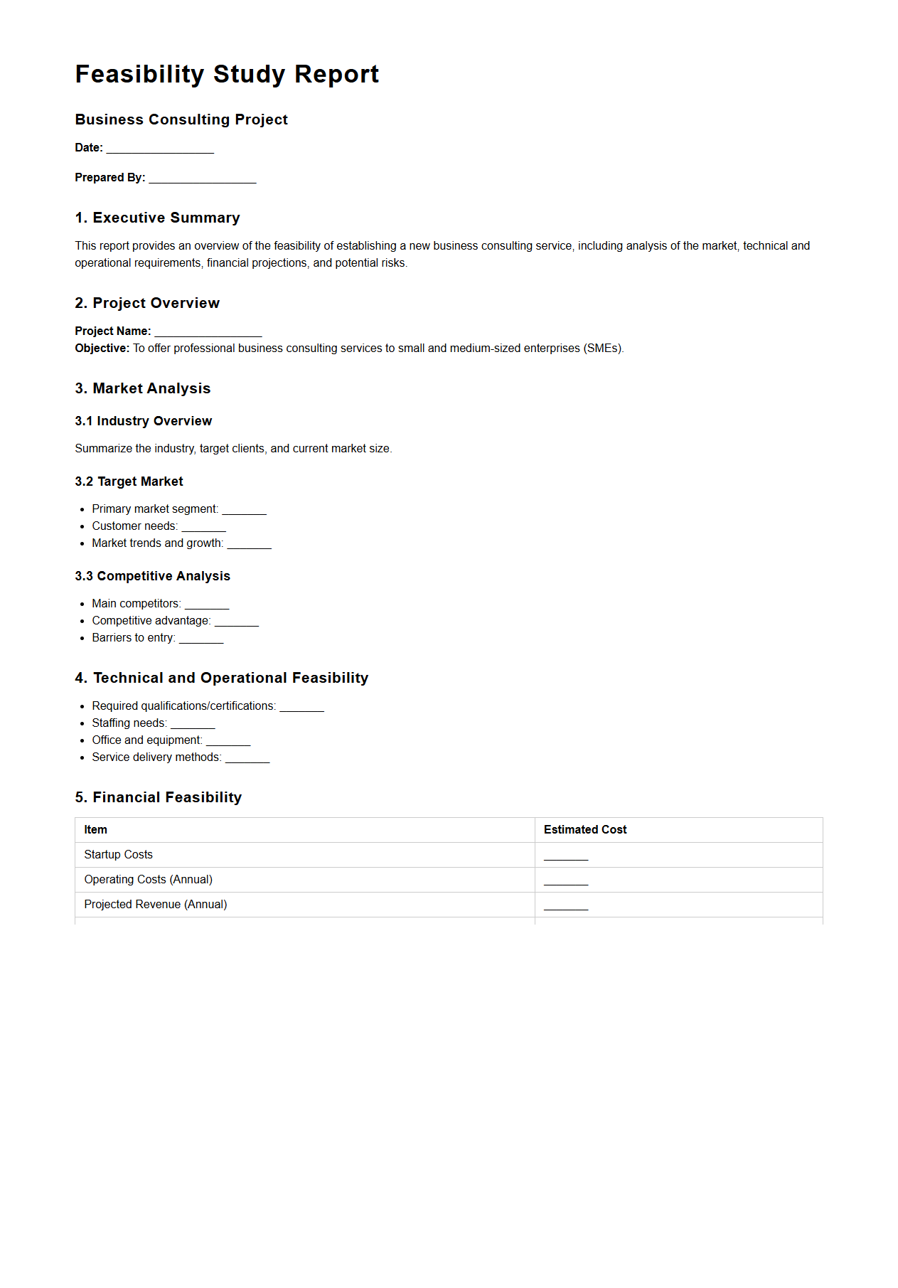 Feasibility Study Report for Business Consulting