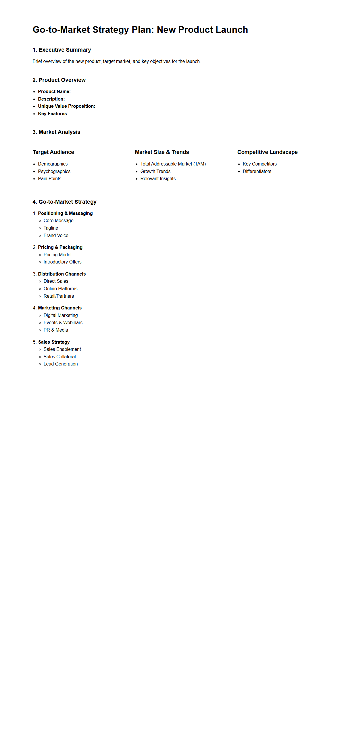 Go-to-Market Strategy Plan for New Product Launch