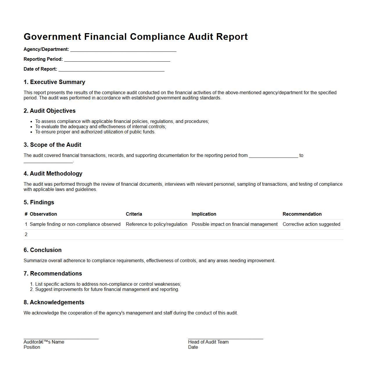 Government Financial Compliance Audit Report Sample
