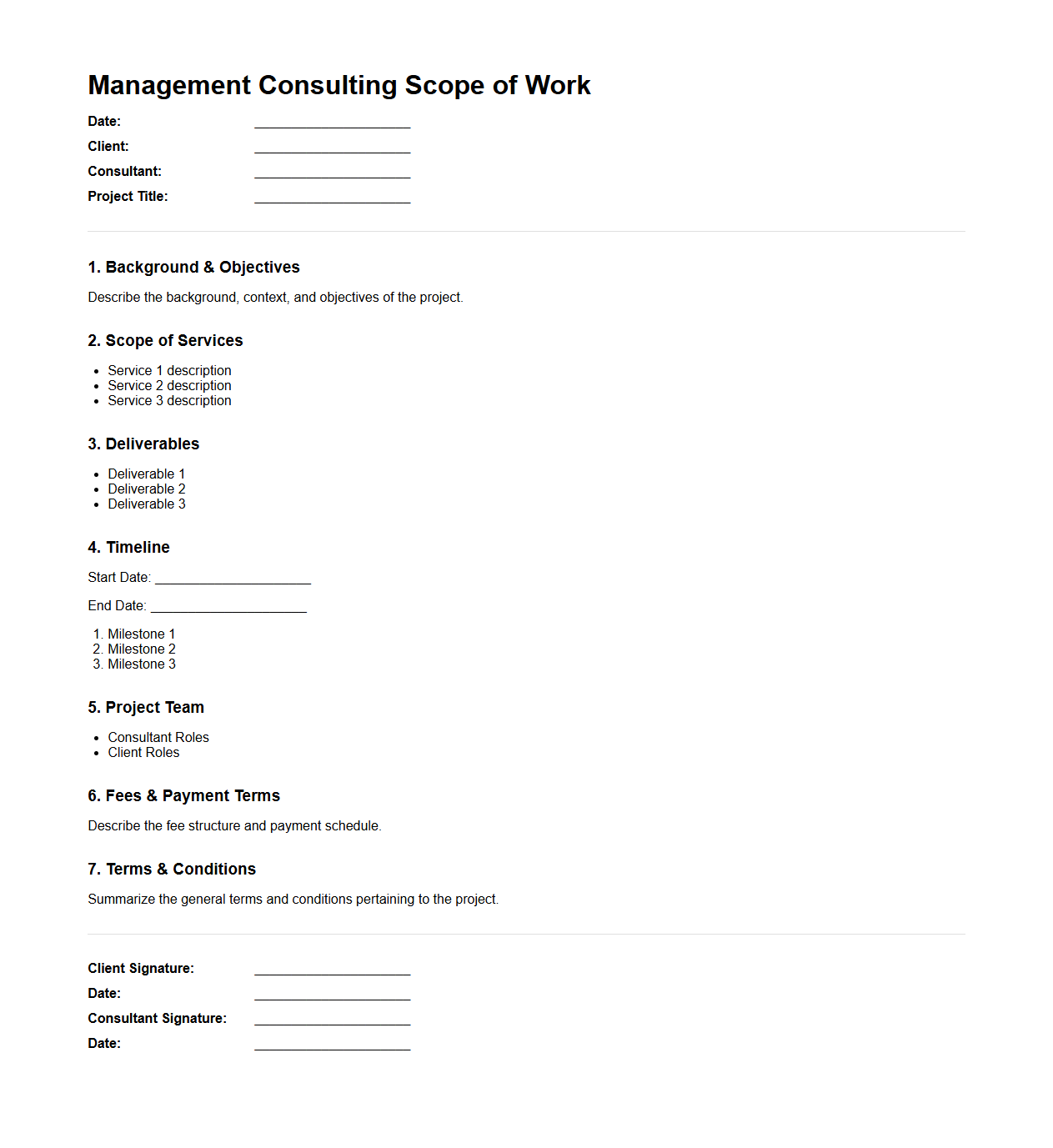 Management Consulting Scope of Work Format