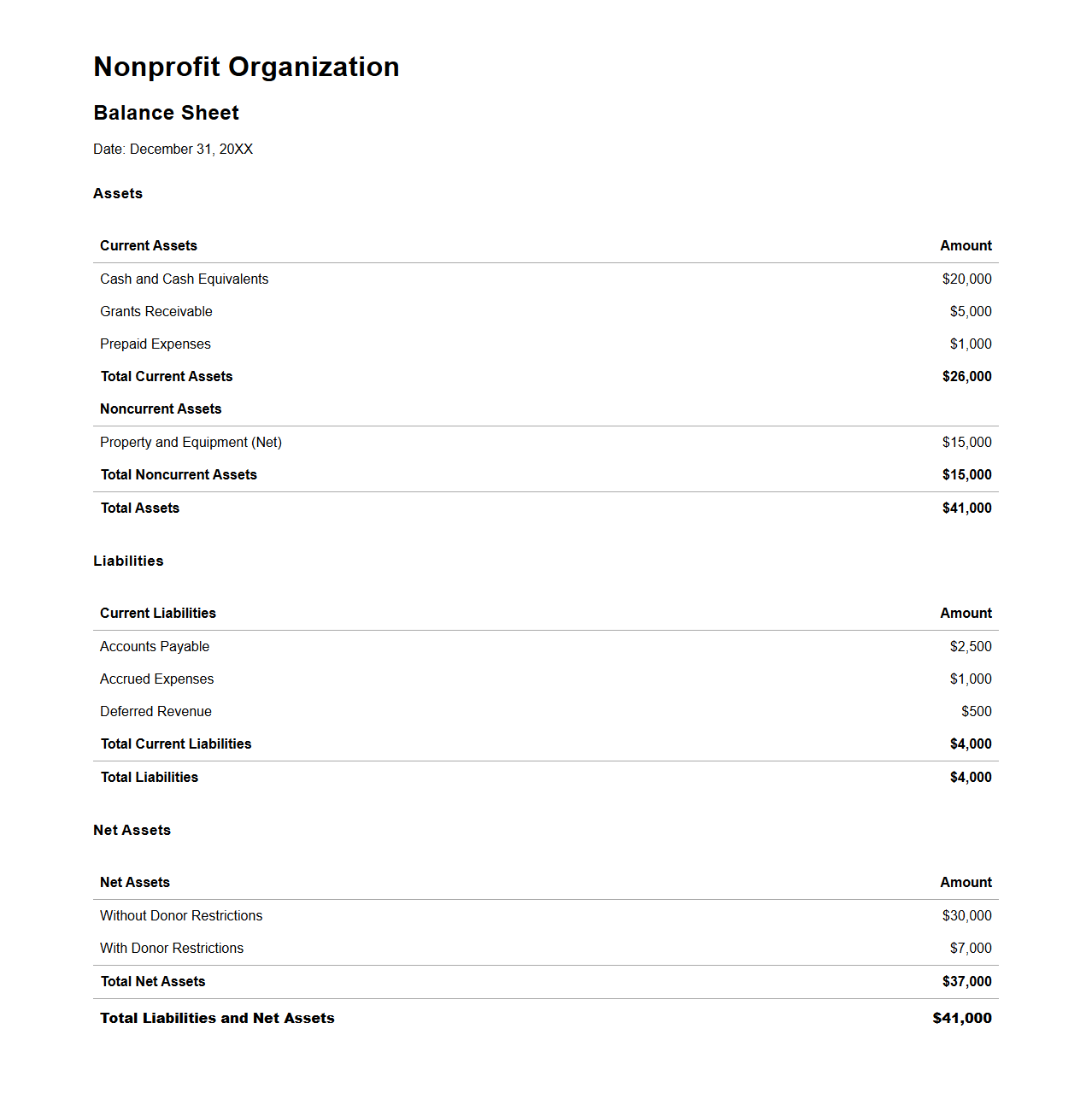 Nonprofit Balance Sheet Example