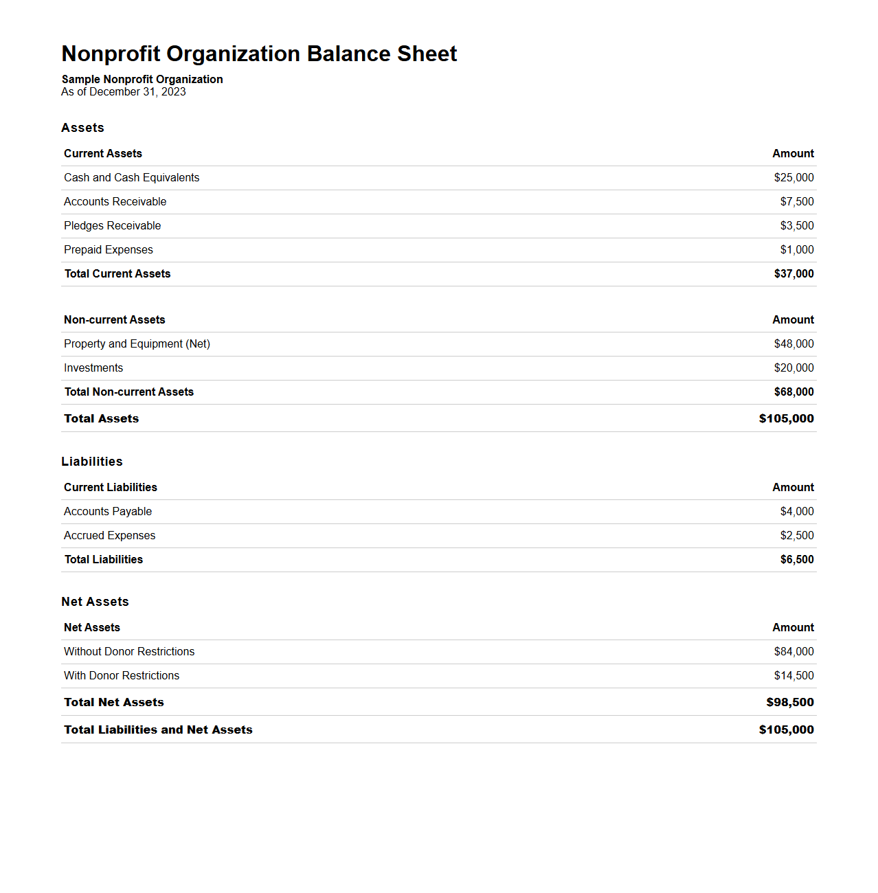 Nonprofit Organization Balance Sheet Sample