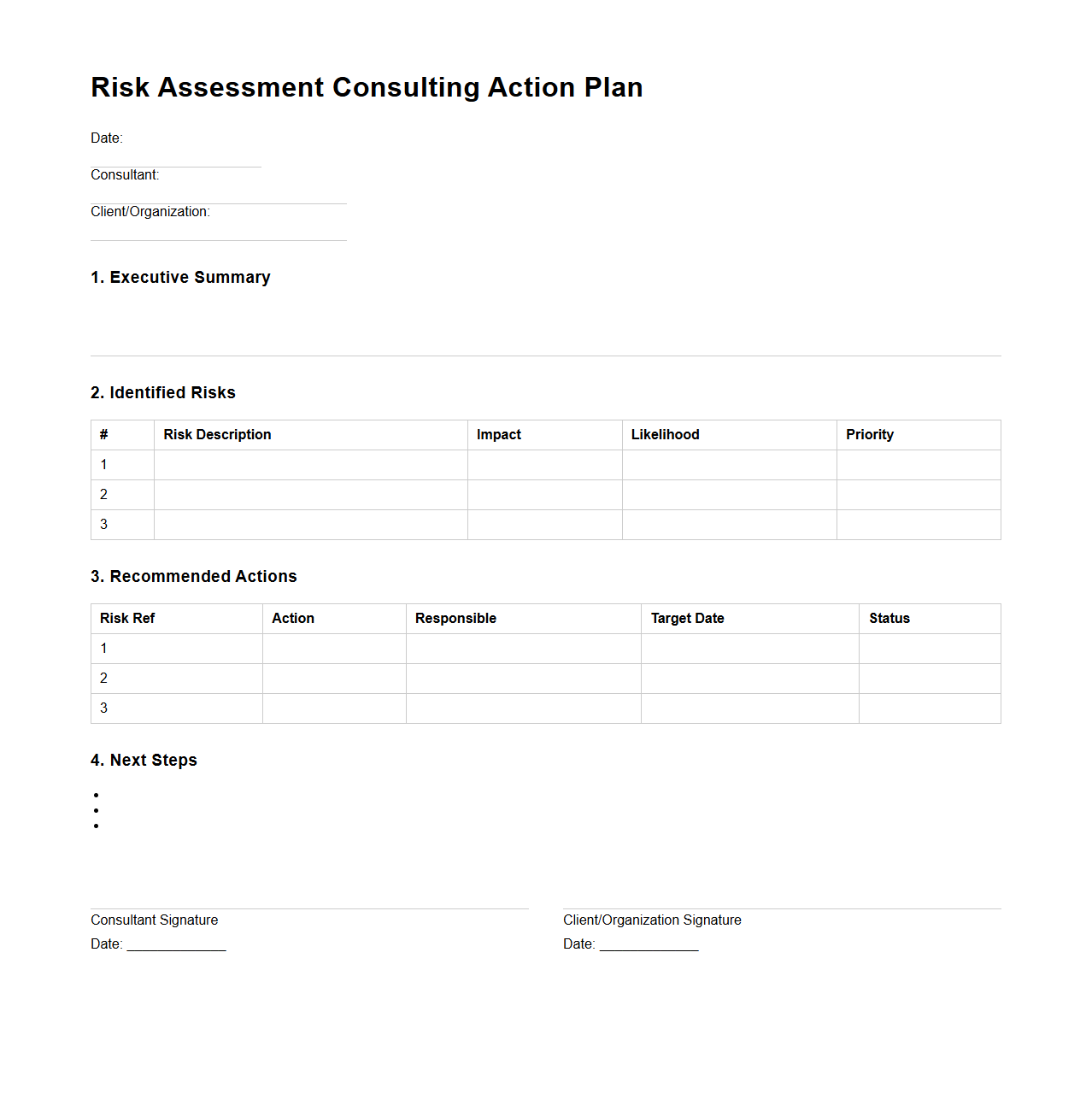 Risk Assessment Consulting Action Plan