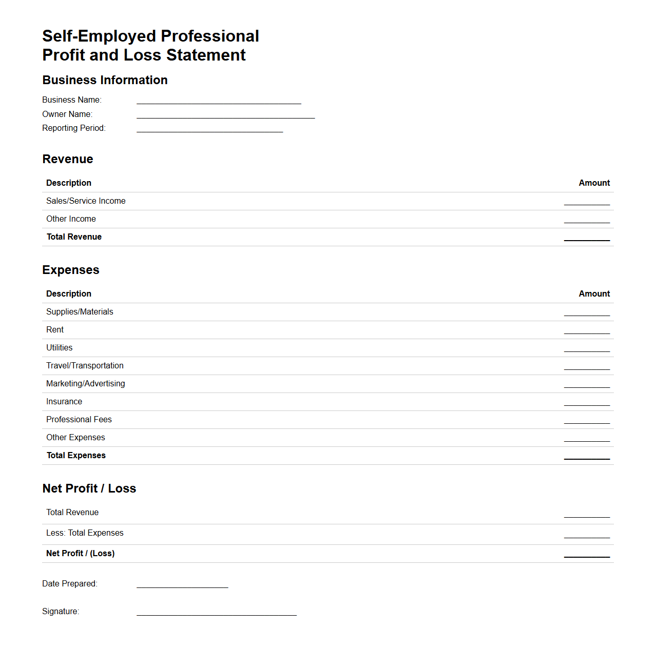 Self-Employed Professional Profit and Loss Statement Example