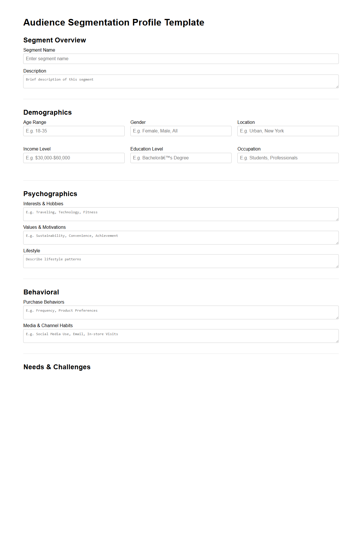 Audience Segmentation Profile Template