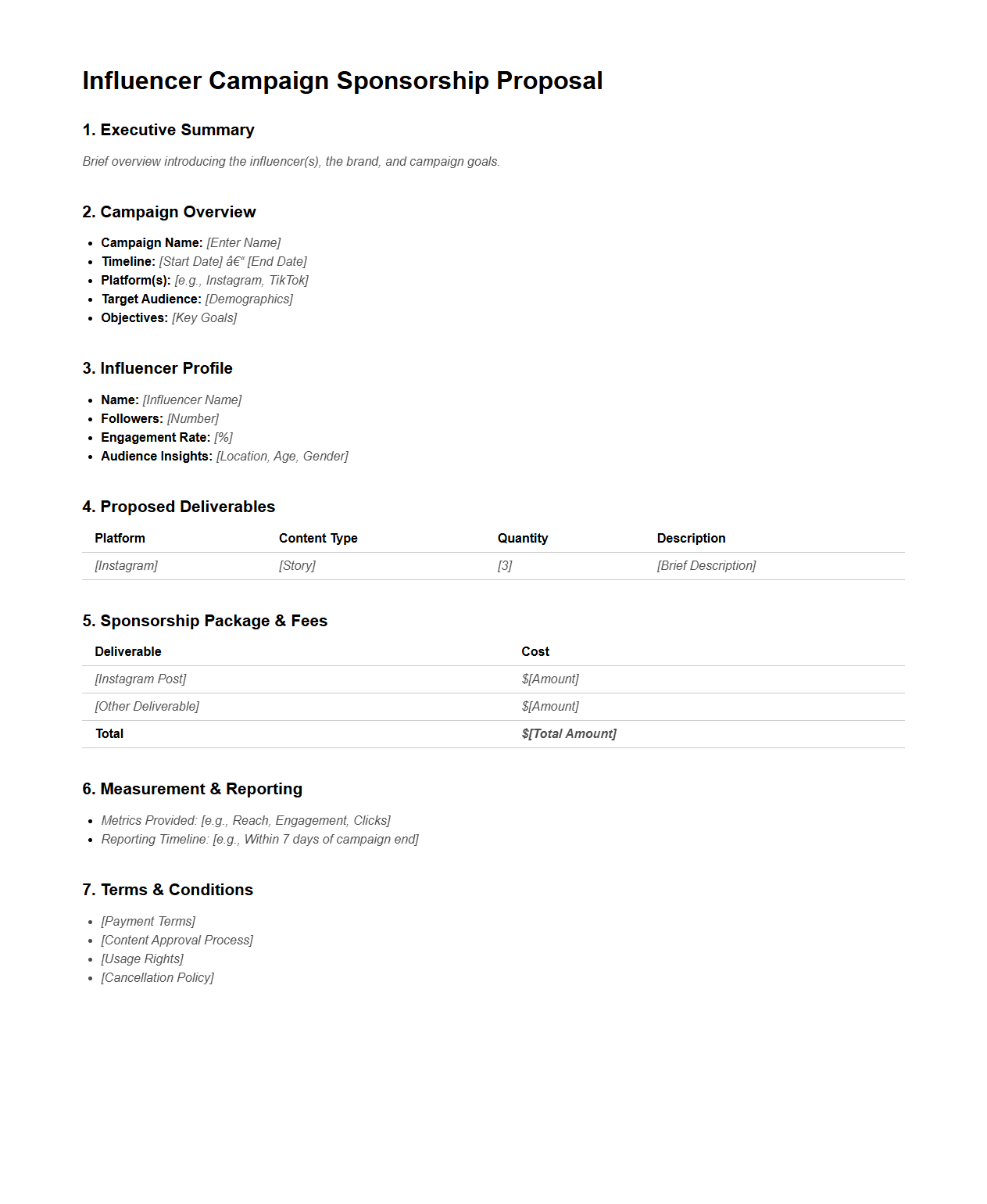 Influencer Campaign Sponsorship Proposal Structure