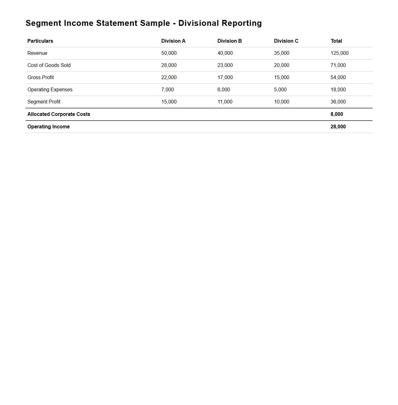 Segment Income Statement Sample for Divisional Reporting