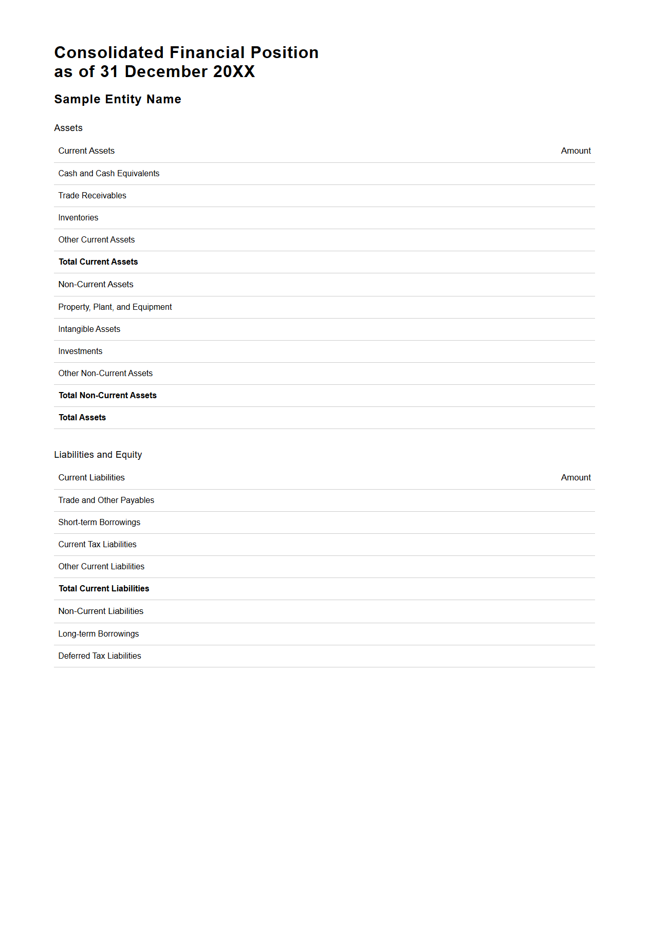 Consolidated Financial Position Report Layout