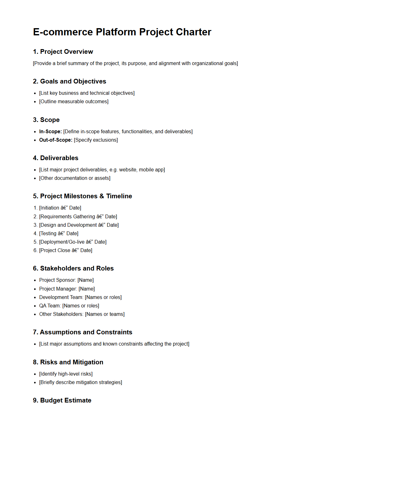 E-commerce Platform Project Charter Structure