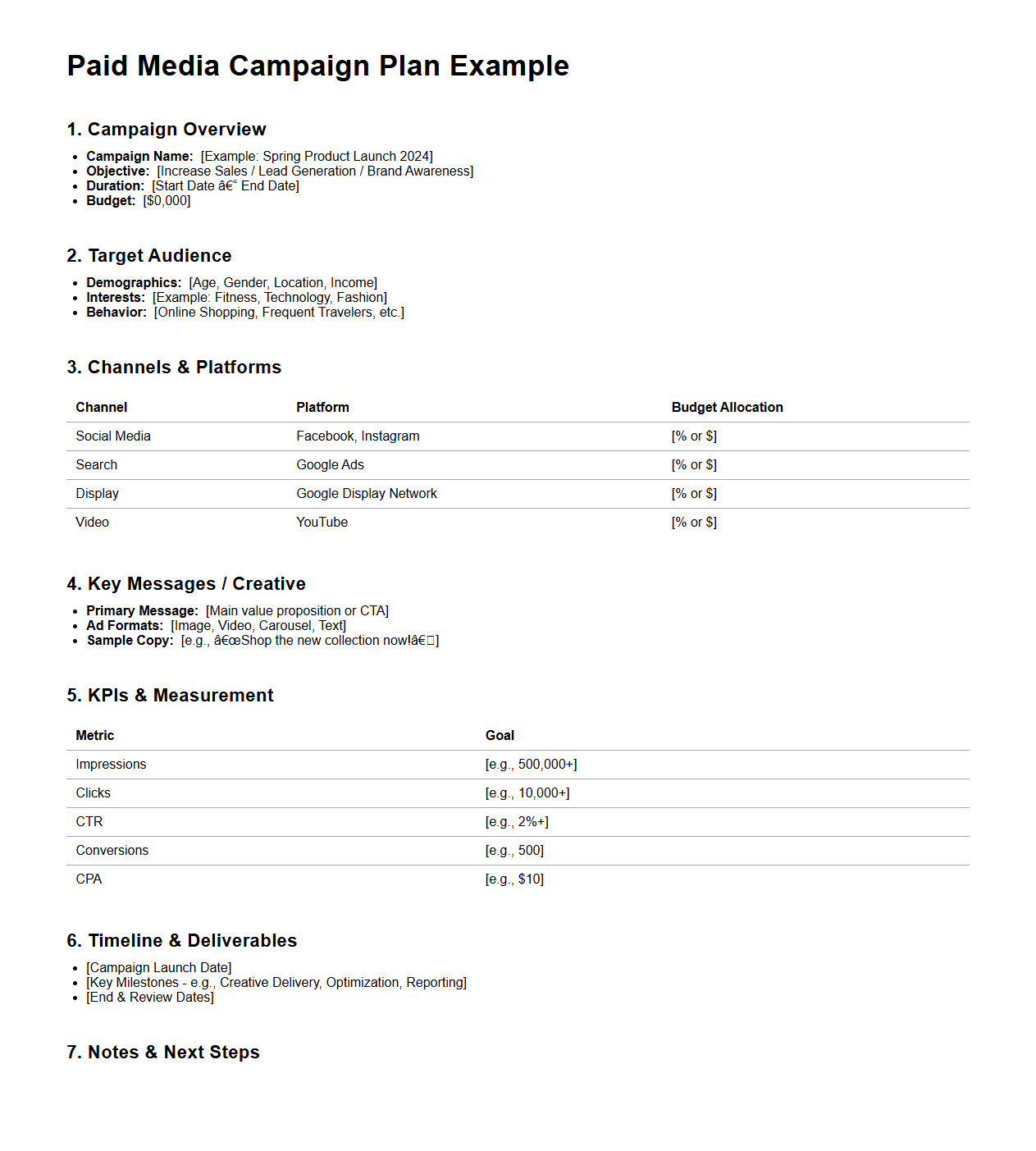 Paid Media Campaign Plan Example