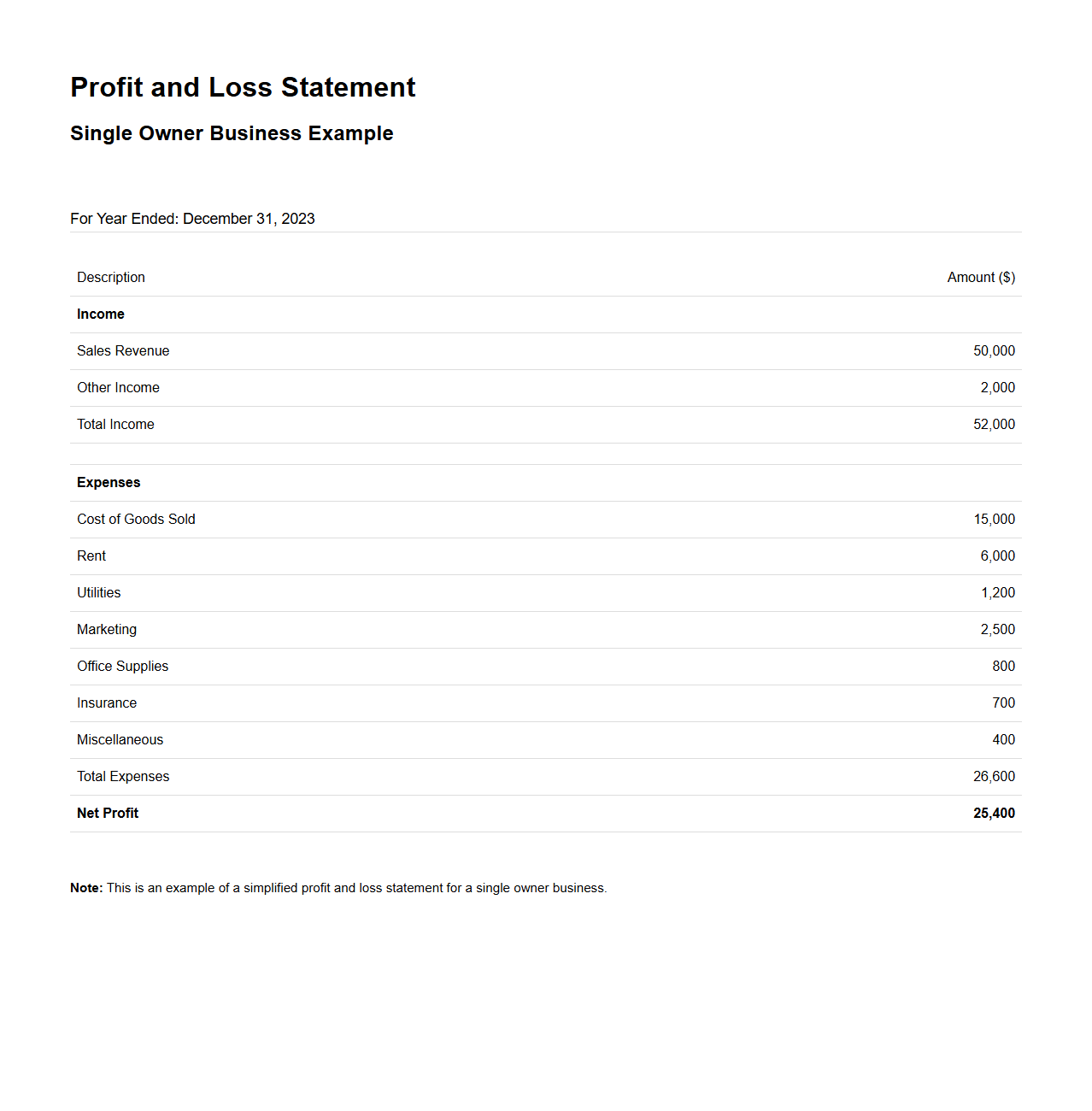 Single Owner Business Profit and Loss Example