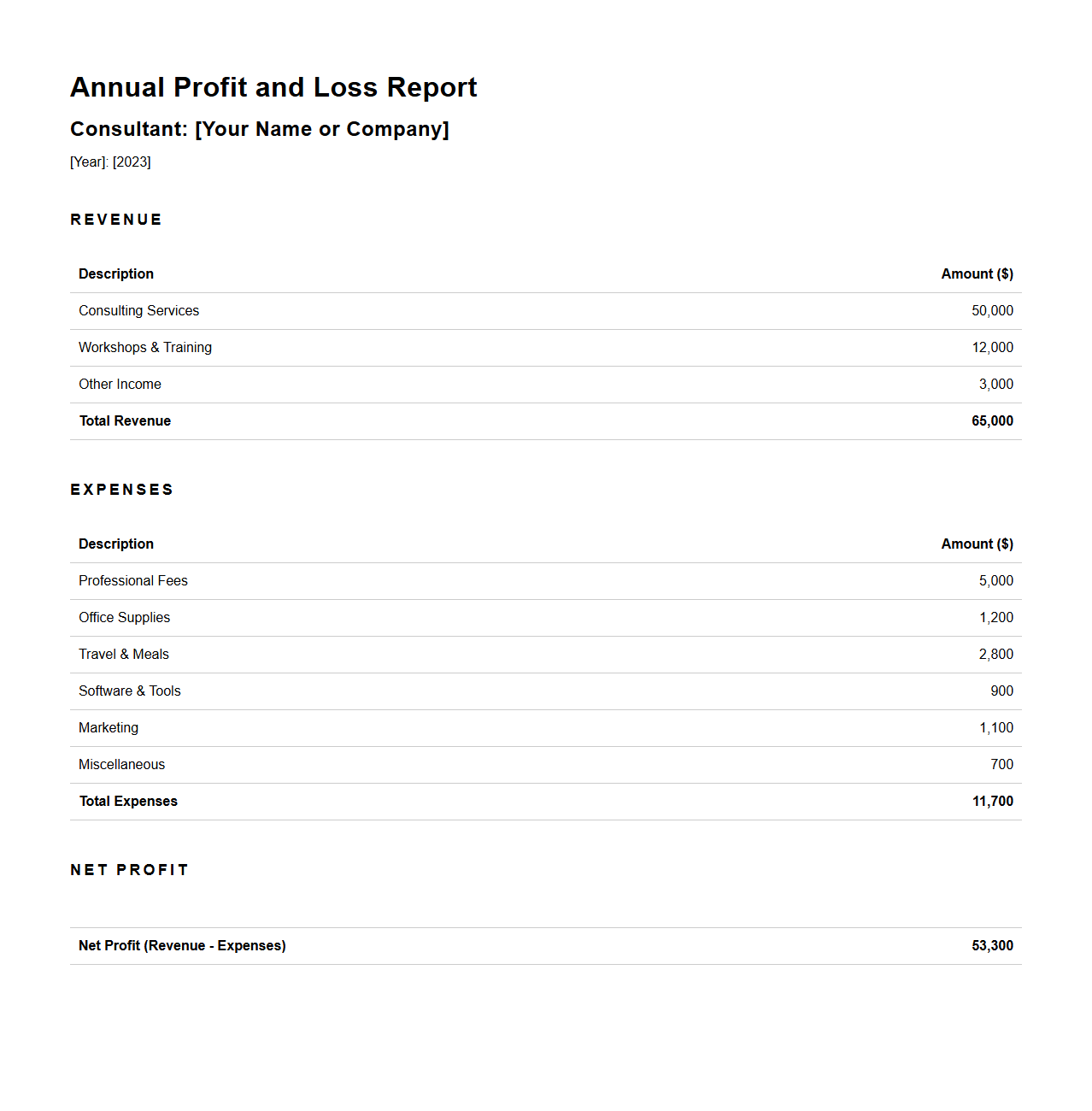Annual Profit and Loss Report Sample for Consultants