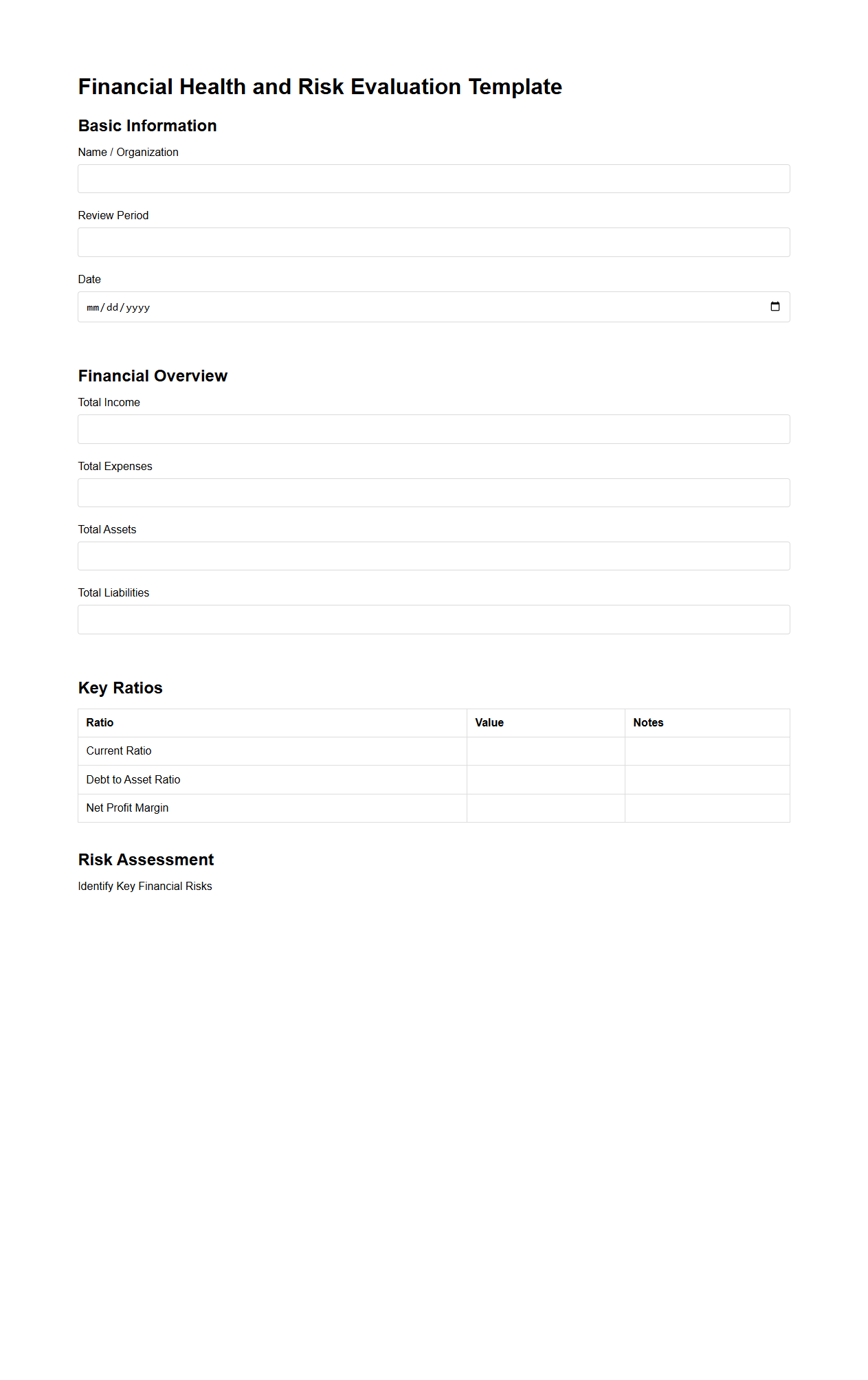 Financial Health and Risk Evaluation Template