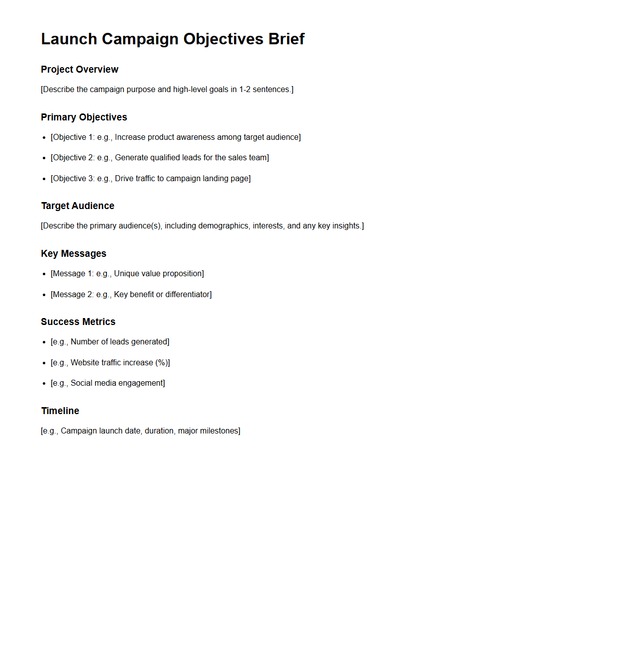 Launch Campaign Objectives Brief Sample