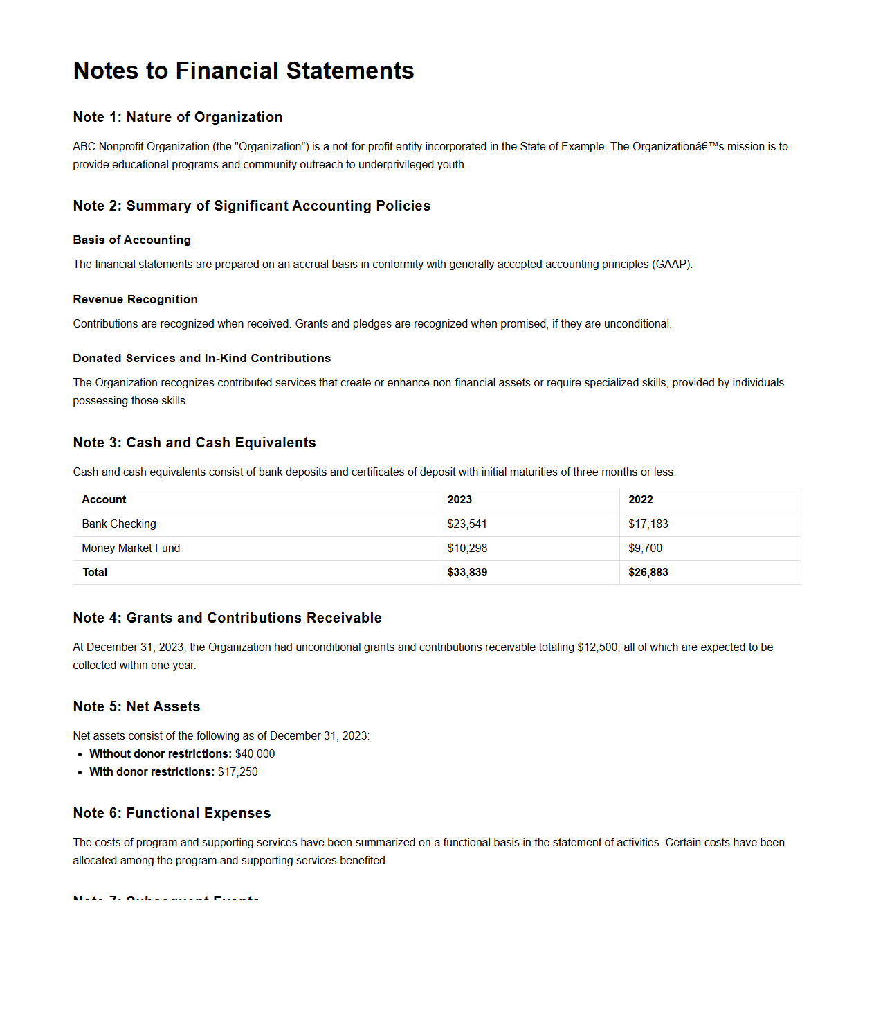 Nonprofit Financial Notes Disclosure Example