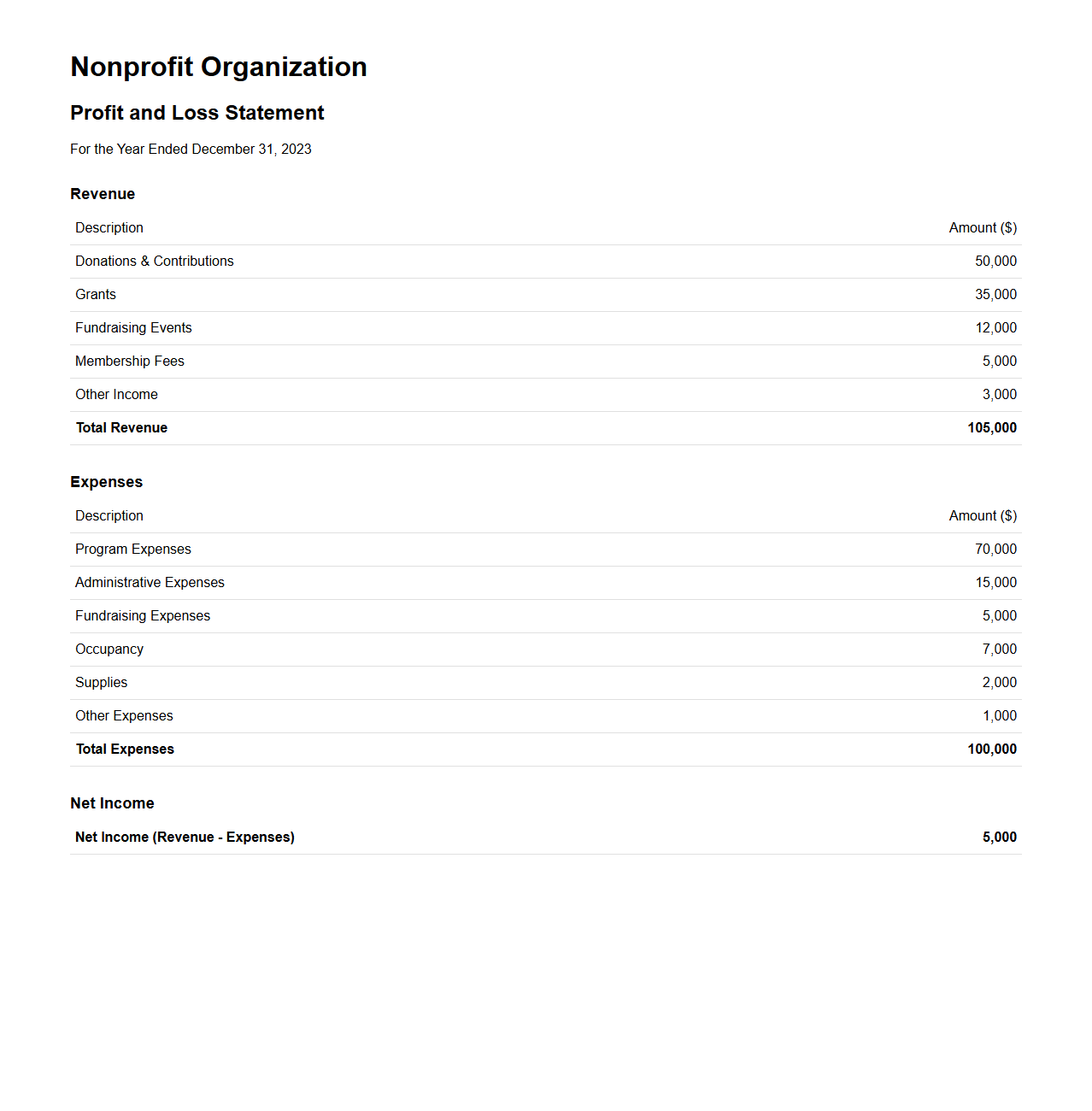 Nonprofit Organization Profit and Loss Statement Example