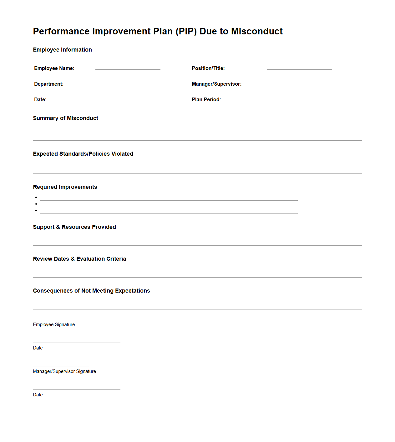 Performance Improvement Plan Due to Misconduct