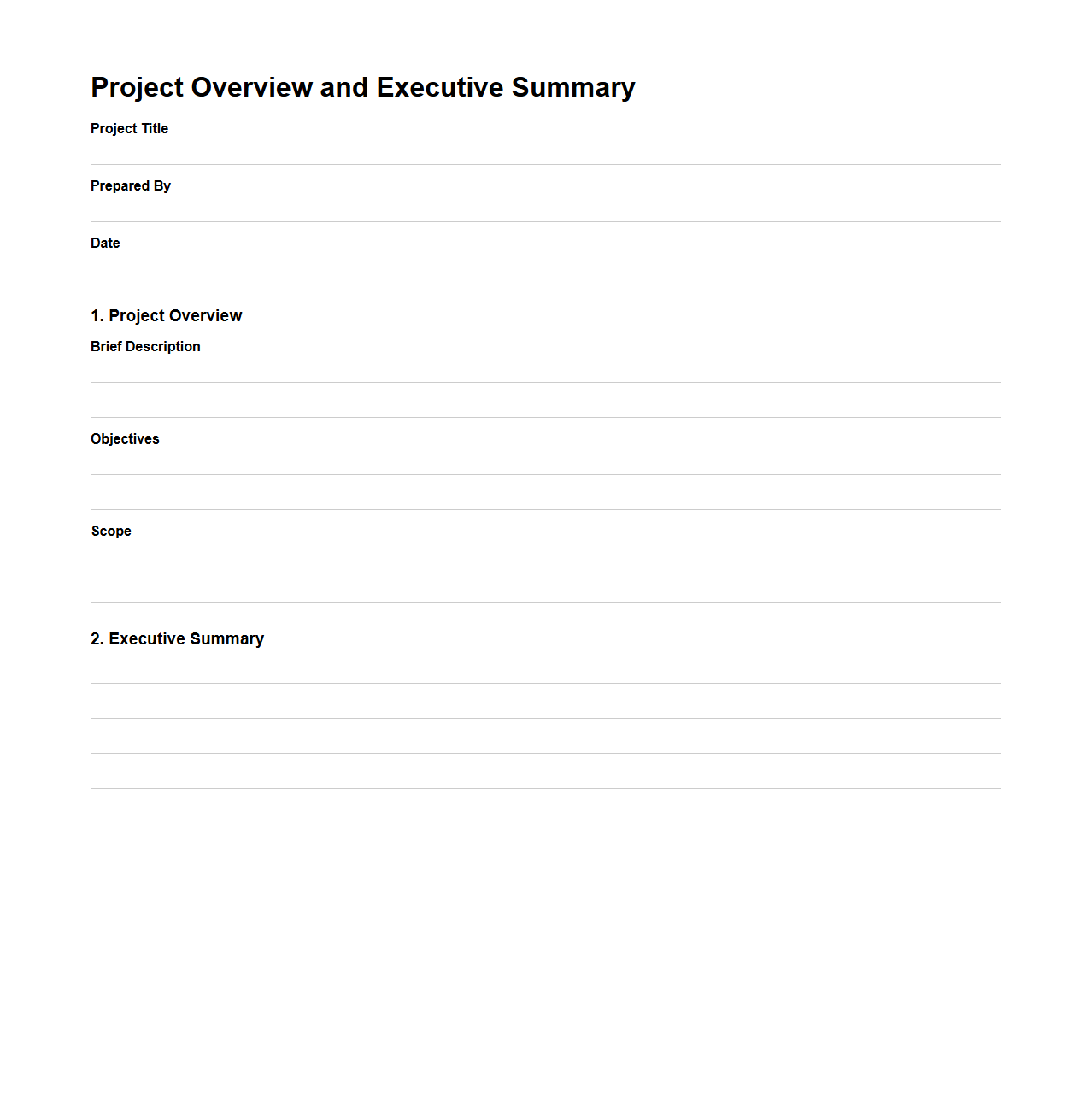 Project Overview and Executive Summary Template